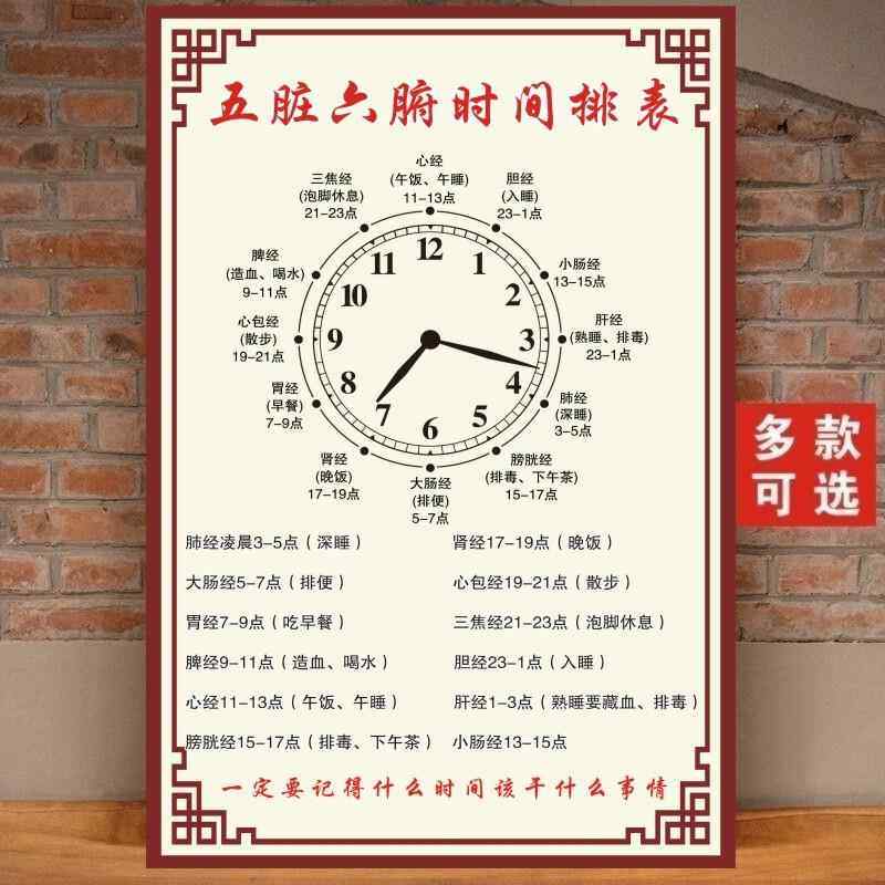 中医养生馆五脏六腑时间排表作息十二时辰人体穴位图全身经络挂图