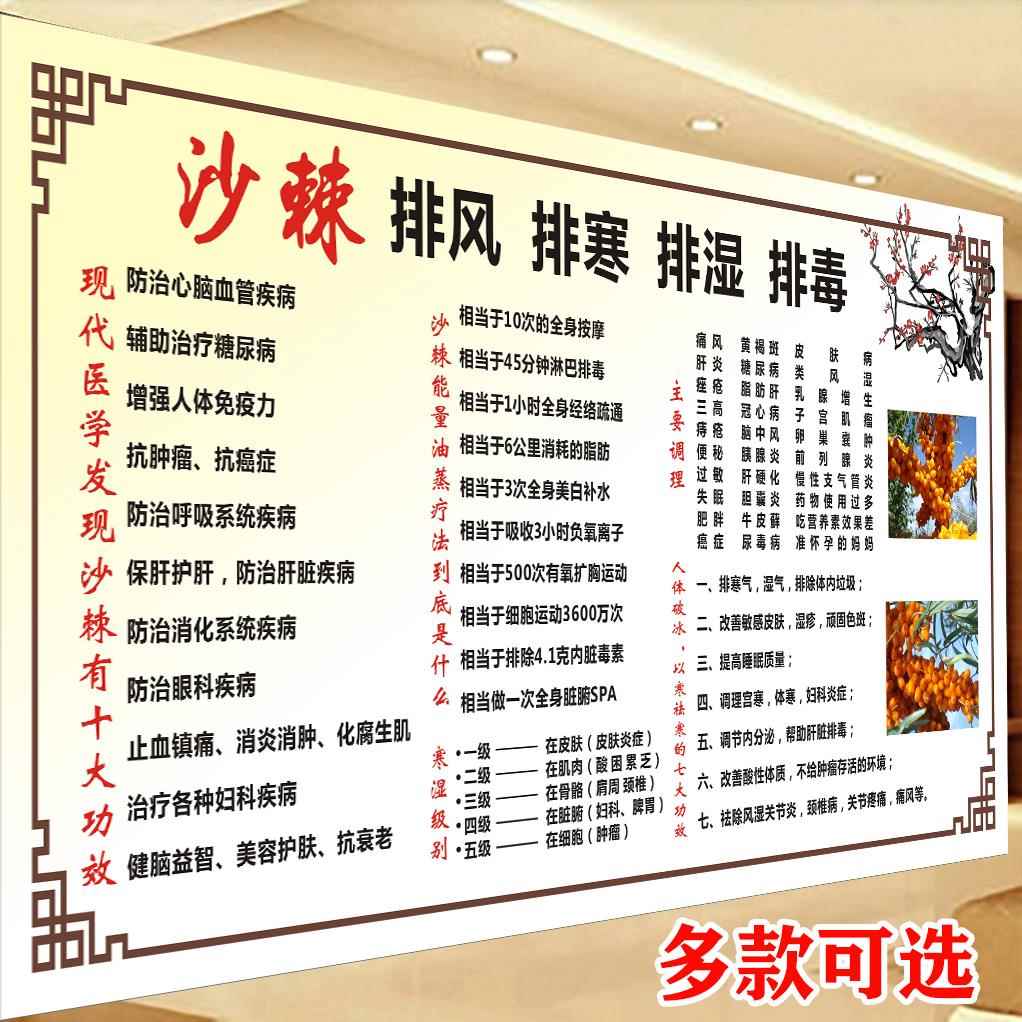 沙棘排毒排湿排寒排酸养生广告宣传海报挂图寒湿等级美容院装饰画