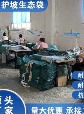 护坡生态袋防护绿化河道绿色公路边坡防汛网袋土工布袋草籽植生袋