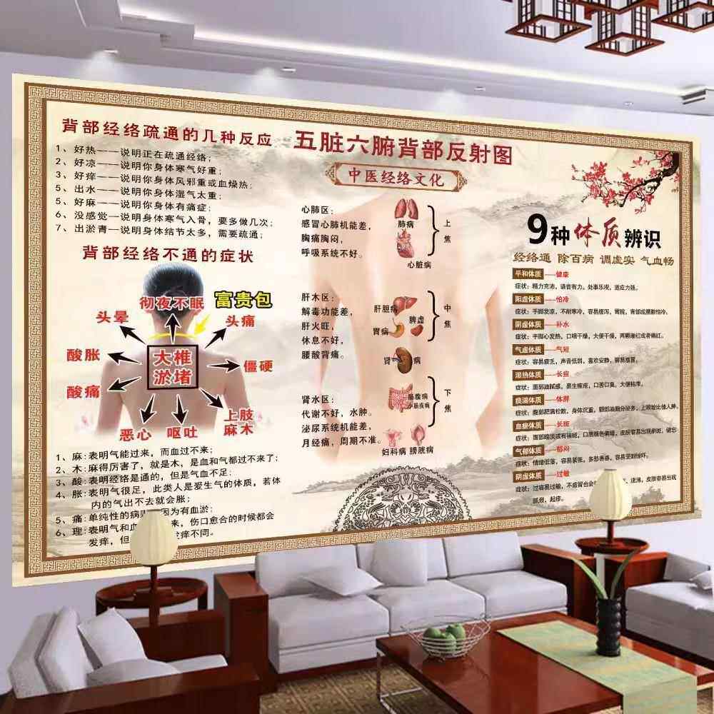 五脏六腑背部反射图背诊图中医养生馆宣传画经络穴位图解挂图海报