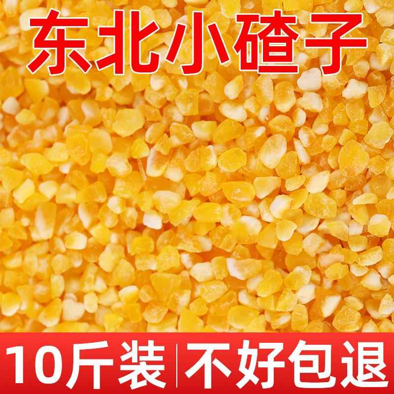 新货东北笨玉米小碴子10斤玉米糁粒玉米碴子小粒苞米碴粗粮新货玉