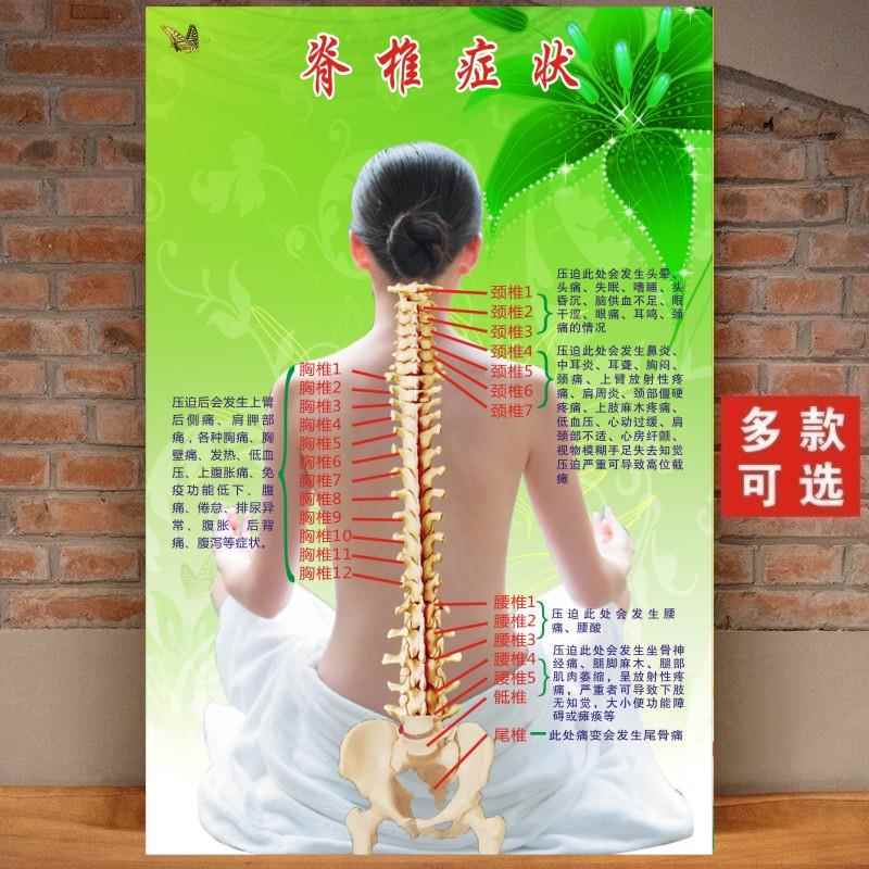 脊柱相关疾病脊椎梳理人体经络穴位图大挂美容院中医养生调理海报