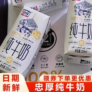 忠厚纯牛奶200ml*12盒柔滑香甜儿童学生成人牛奶纯厚浓乳早餐奶