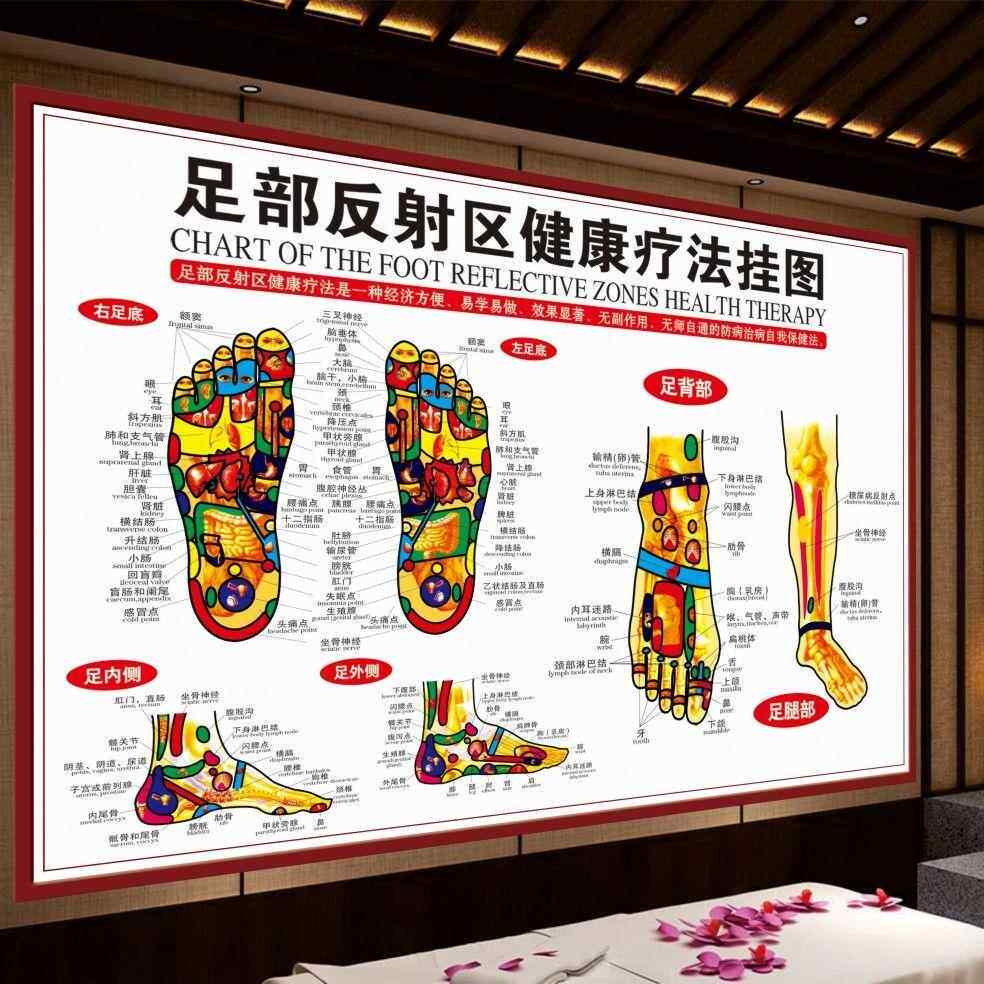 足底按摩穴位图足部反射区大挂图人体足部经络穴位图挂图宣传挂画