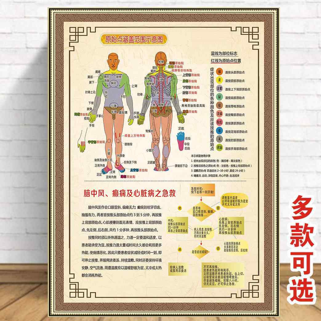 推拿按摩原始点壁画原始点涵盖范围示意图理疗养生海报墙贴海报图