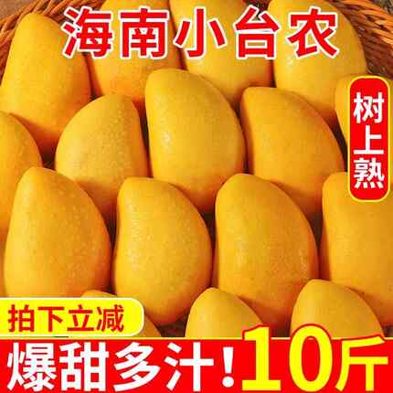 新货海南小台农芒果10斤新鲜小台芒当季特产水果现摘芒果大果整箱