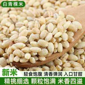 2024白青稞米新米500g 营养糙米健康主食五谷杂粮粥米早餐粗粮饭
