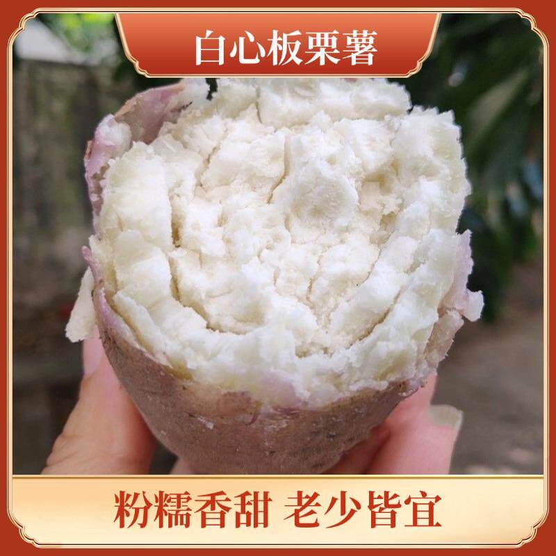 新鲜现挖白心板栗薯红薯栗子香白薯白瓤地瓜红皮白心红薯干粉番薯