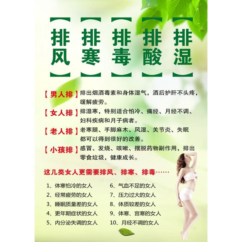 中医养生馆背景装饰画挂画沙棘排风排寒排湿排毒排酸宣传海报墙贴