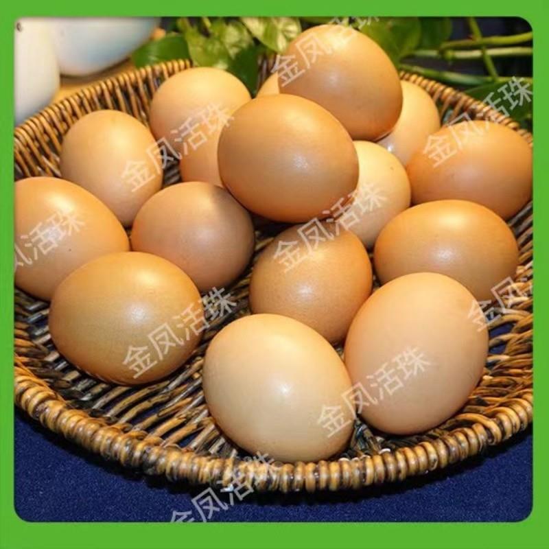 活珠子瑾贝金凤毛蛋抖音同款酱总家活珠子五香辣熟开袋即食旗舰店