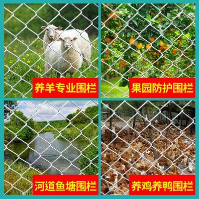 镀锌铁丝网围栏防护网养殖猪牛羊围网勾花网钢丝网果园栅栏护栏网