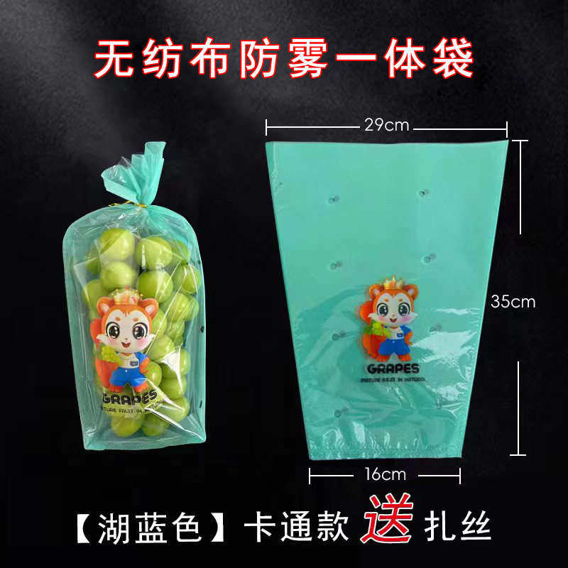 无纺布防雾膜一体袋葡萄包装袋纸袋葡萄包装袋无纺布葡萄透气保鲜,包装,水果包装,淘宝优惠券,粉丝福利购,淘宝优惠卷