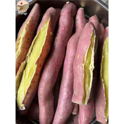 官方旗舰店陕栗板栗红薯新鲜临潼粉糯番薯地红苕沙黄白心红