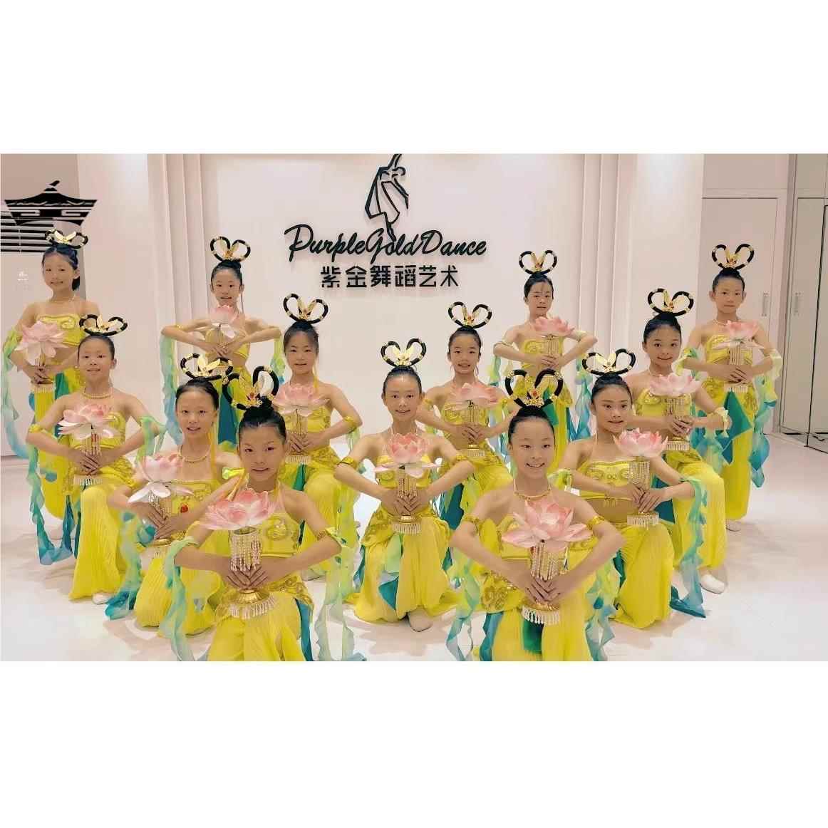 宫灯舞水月洛神舞蹈表演出服丝路天妙音反弹琵琶敦煌飞天服装儿童