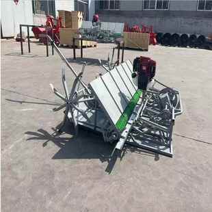 家用中小型插秧机汽油机动力水稻秧苗种植机水稻抛秧机