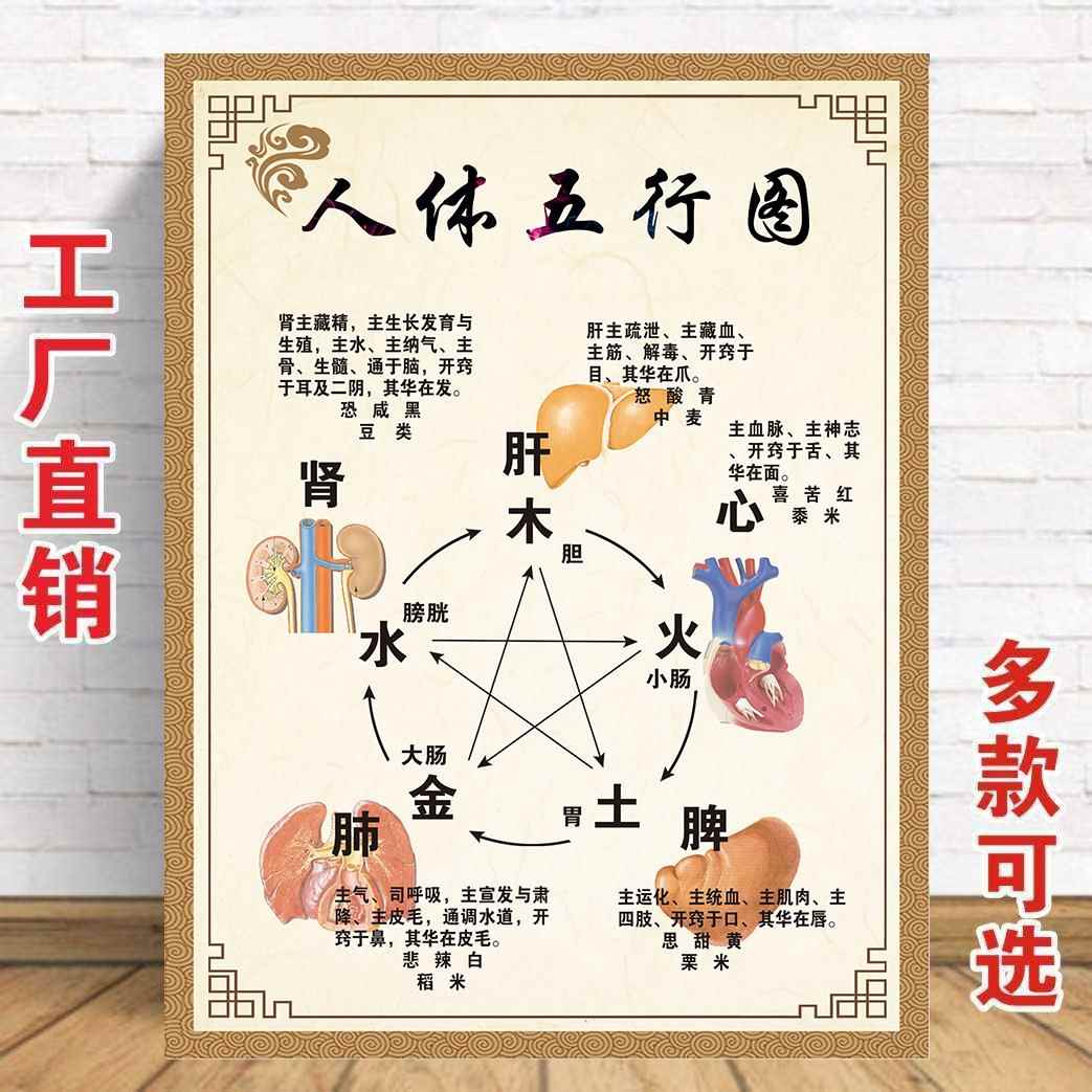 中医养生馆五行图解挂图挂画定制 人体五行五脏相生相克海报贴图