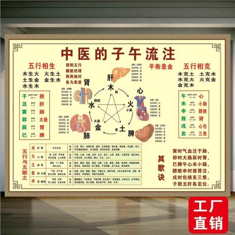 养生子午流注对照表五行知识学习阴阳五行图解贴画金木水火土海报