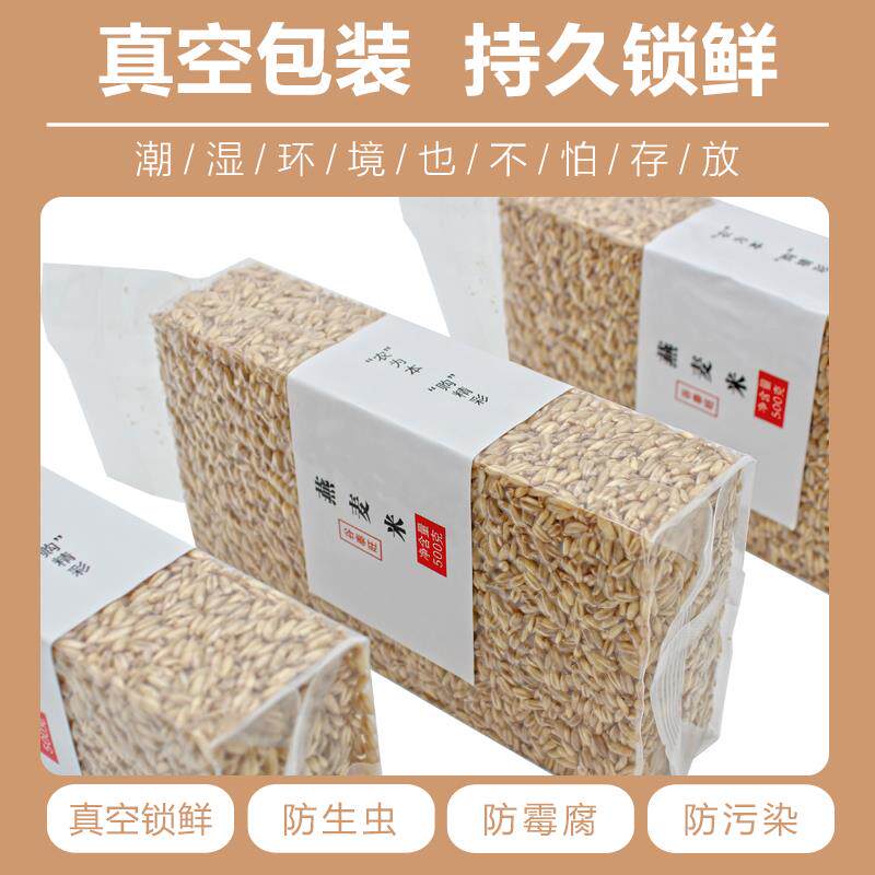 央妈超市官方旗舰店年货内蒙古燕麦米全胚芽2024年新米生莜麦仁
