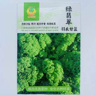 。食用羽衣甘蓝种孑种孑阳台盆栽大田蔬菜种孑春秋季播特色蔬菜种