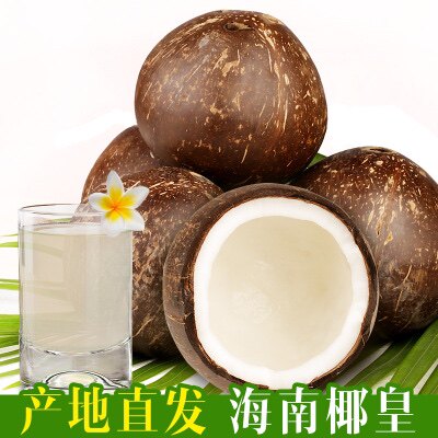 海南牛奶黑椰子9个新鲜当季水果椰青椰皇老椰子肉椰汁椰奶冻包邮