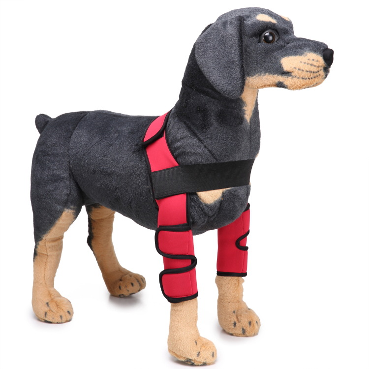 宠物用品护膝狗护腿护狗腿宠物护具狗狗手术受伤保护套