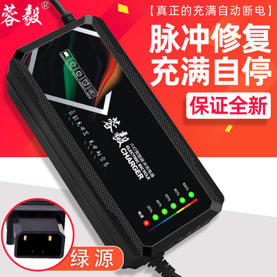 爱玛绿源自动断电智能通用电动车电瓶充电器48V12AH60V20AH72V40