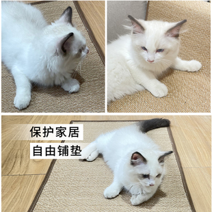 防猫抓沙发保护猫抓板垫防猫爪保护套贴神器猫咪耐抓挠耐磨不掉屑