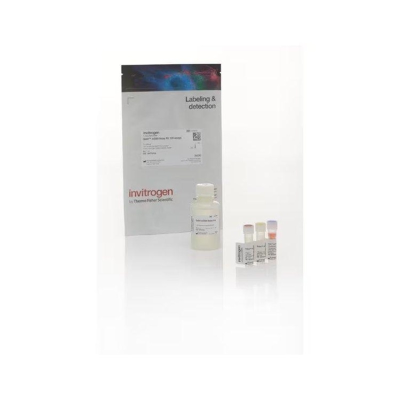 Invitrogen QubitssDNA Assay Kit试剂 Q10212-封面