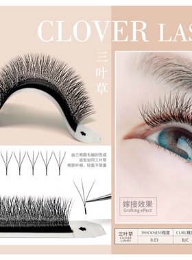 三叶草嫁接睫毛超软0.03软毛y型yy睫毛2021新款美睫店专用
