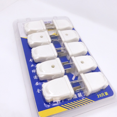 两脚插头家用两项10a二孔接线