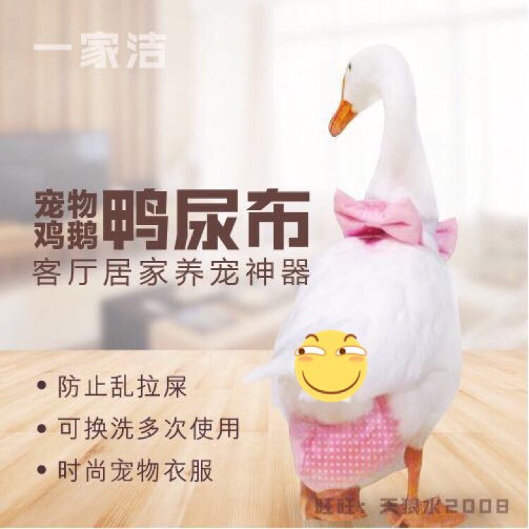可换洗尿不湿宠我鸭鹅网红纸尿裤