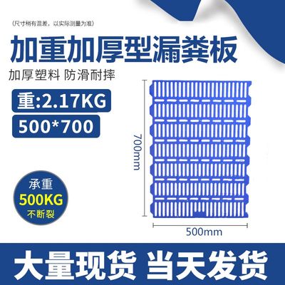 养猪圈漏粪板猪用母猪产床保育床羊用仔猪舍接粪R板塑料猪栏漏缝