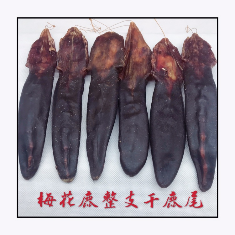 梅花鹿尾干鹿尾整只干壮鹿尾巴搭鹿茸鹿鞭泡酒吉林整支6.5元/克