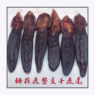 梅花鹿尾干鹿尾整只干壮鹿尾巴搭鹿茸鹿鞭泡酒吉林整支6.5元/克