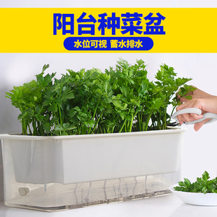 阳台种菜盆种菜神器家庭蔬菜种植箱长方形塑料专用箱长条花盆花槽