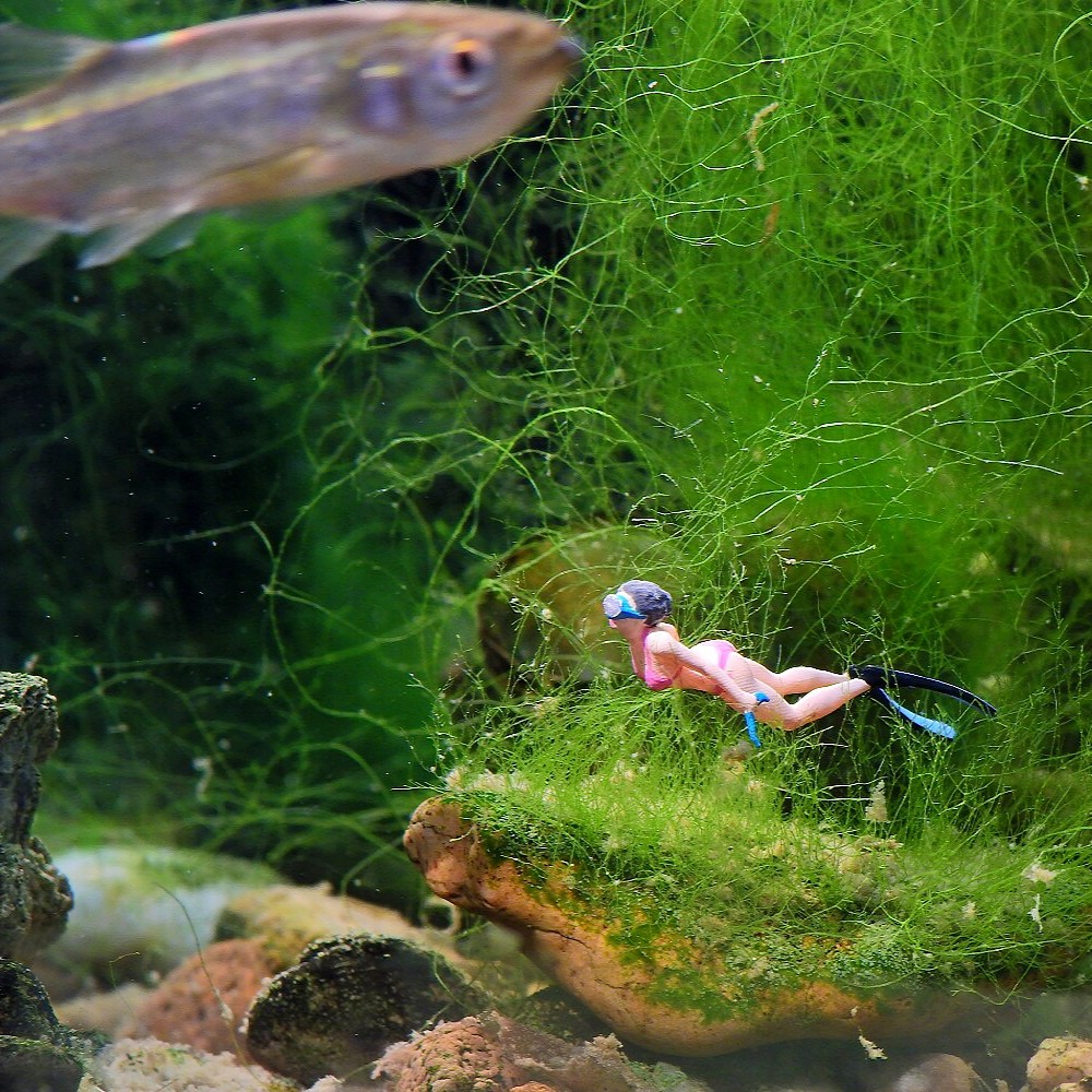 潜水美女沙盘微拍模型玩具小人