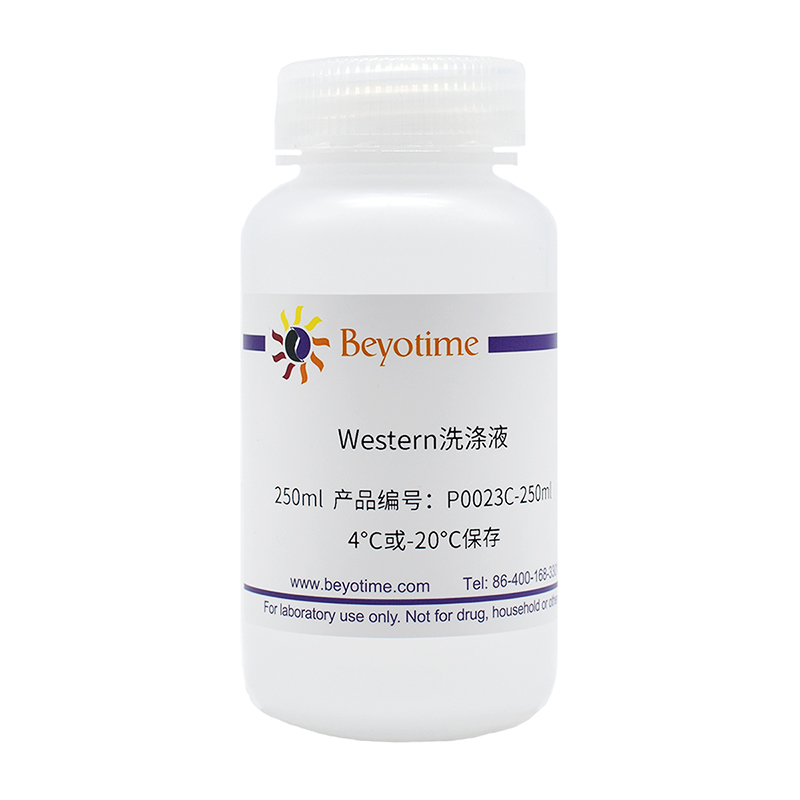 碧云天 Beyotime P0023C-250ml P0023C-1L Western洗涤液-封面