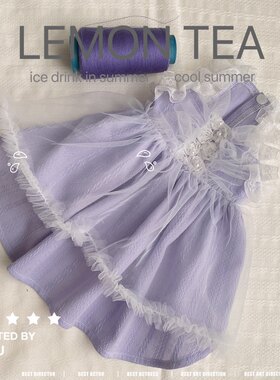 原创猫狗连衣裙礼服中小型犬薄款