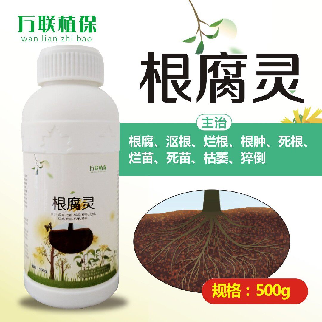 根腐病特效效果好特效豆角葡萄根腐病特效包邮500g正品根腐灵