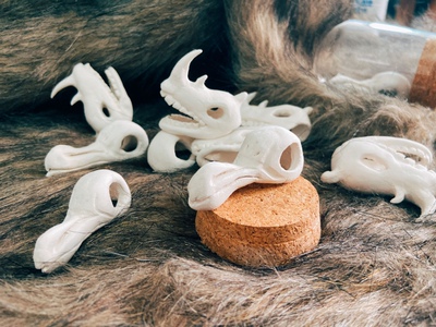 【TRANSMIT】白犀牛/渡渡鸟 手工原创黏土摆件