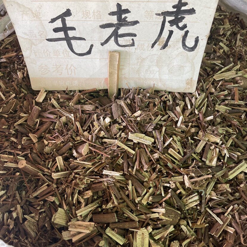 毛老虎中草药毛老虎  山薄荷 假藿香 蛇百子 500克