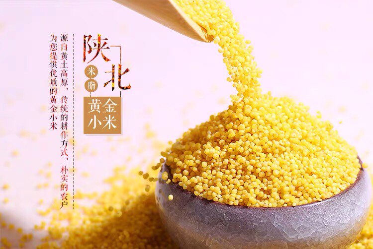 延安特产农家黄小米新黄小米粮食玉米
