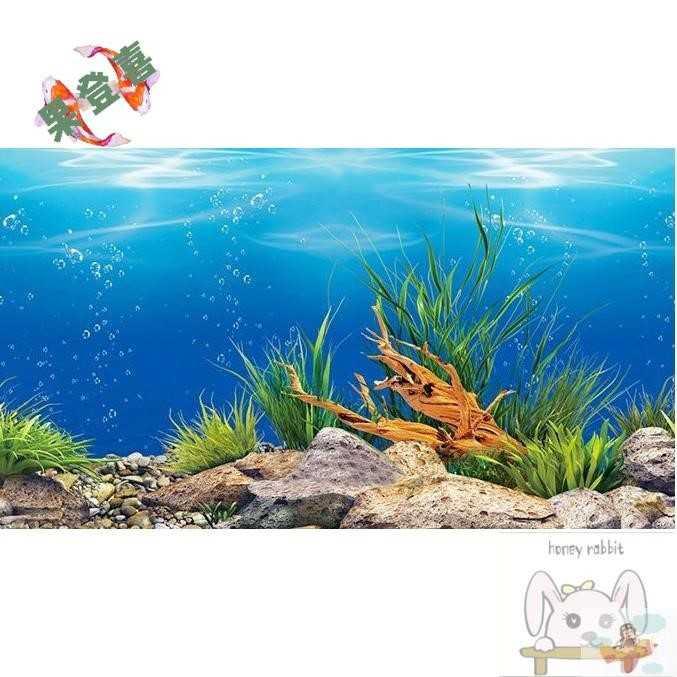 画高清壁画墙纸壁纸水族鱼缸图贴纸背面背景3d造景多贴画图案立体