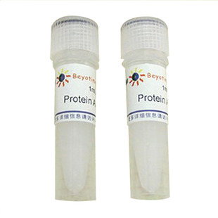 Flow 2ml Beyotime Fast P2006 Agarose 碧云天 进口 Protein