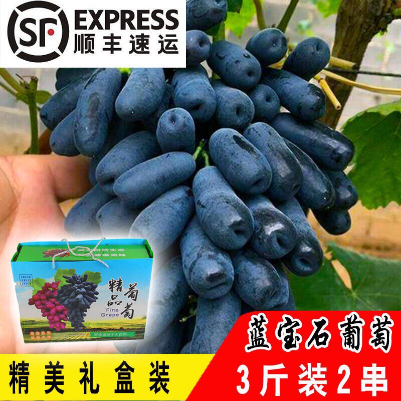 金手指甜蜜蓝宝石葡萄新鲜无核黑美人指提子水果当季原产地直销