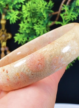 一博珊福精品天然珊瑚玉老料大彩花手镯女