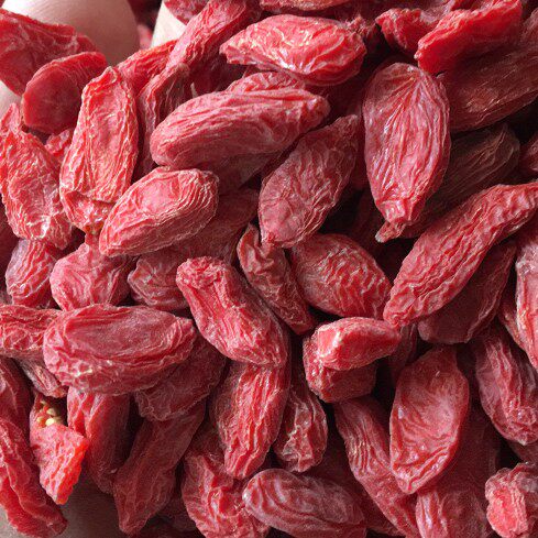 新疆红枸杞子正宗特级免洗500g精河头茬红枸杞