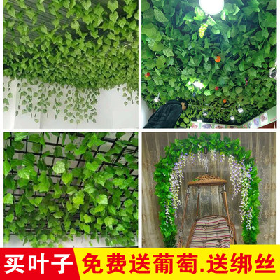 花藤绿叶装饰仿真葡萄叶假树叶植物藤条塑料藤蔓缠绕吊顶假花叶子