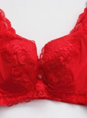 两件包邮莎莲妮商场稳定包容大罩杯调整型内衣文胸罩女薄SB18228