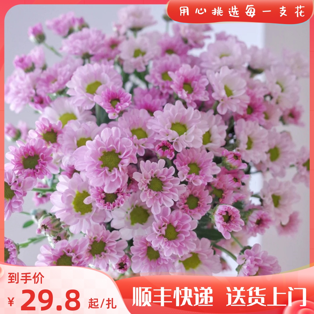 雏菊鲜花小菊云南鲜花基地直发婚庆办公室插花婚庆花店家庭插花